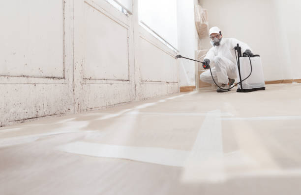 24/7 Emergency Mold Removal experts in Tewksbury, MA